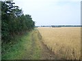 Footpath Near The Cranfords