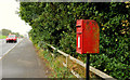 Letter box, Newtownards