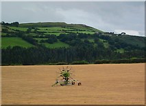 SH9873 : Cae o wenith / Wheat field by Ceri Thomas