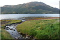 Allt na h-Inghinn entering Loch Duich at Ratagan