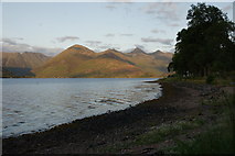 NG9021 : Shoreline of Loch Duich at Letterfearn by Mike Pennington