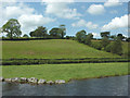 Afon Teifi and hillside west of Pont Gogoyan, Ceredigion