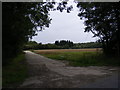 Footpath to Snipe Farm Lane & the B1078 Ipswich Road