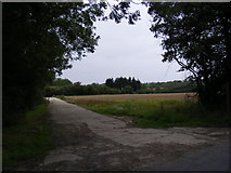 TM2354 : Footpath to Snipe Farm Lane & the B1078 Ipswich Road by Geographer