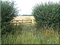 Footpath To Grafton Underwood