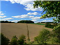 Footpath near Weston