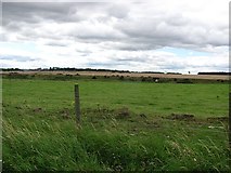 NU0347 : Farmland, Cheswick by Richard Webb