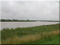 River Ouse, Goole Reach