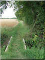 Footpath And Bridge