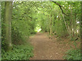 SU5849 : Pardown - Basingstoke path by Mr Ignavy