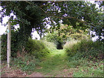 TM2362 : Footpath to the A1120 by Geographer