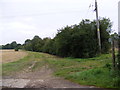 Footpath to the Mill Lane Byway to High Road