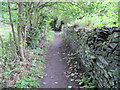 Footpath to Close Hill Lane