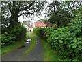 Farmhouse lane, Fallaghearn