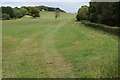 Field near Lower Hewletts Farm