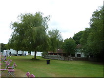 TQ1630 : Horsham Cricket Club- looking towards Darren Webb's tree by Basher Eyre