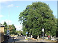 Lee Terrace, near Blackheath