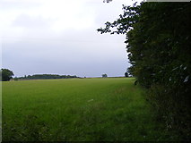 TM2161 : Footpath to the A1120 by Geographer