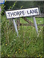 TM2061 : Thorpe Lane sign by Geographer