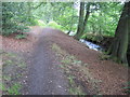 Footpath beside River Holme