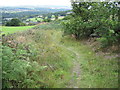 Footpath on Ludhill Lane