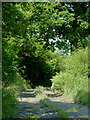 Farm track near  Capel Betws Lleucu, Ceredigion