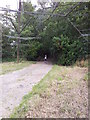 Footpath under electricity pylons