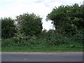 Overgrown access to Footpath, North Carlton