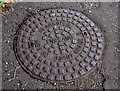 J2564 : Clarksteel manhole cover, Lisburn by Albert Bridge