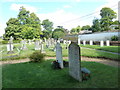 St Peter, Goodworth Clatford: churchyard (b)