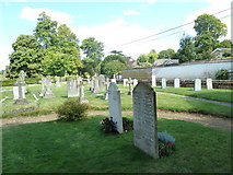 SU3642 : St Peter, Goodworth Clatford: churchyard (b) by Basher Eyre