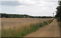 Looking towards Rence Park Farm