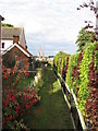 Footpath from Cottages to Pin Mill Common