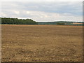 Farmland near Stubbing