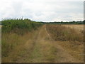 Farm track off New Road