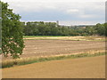 Farmland off Styrrup Lane