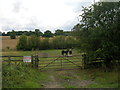 Field entrance off White Cross Lane