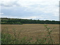 Farmland near Spring Farm