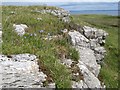 G7169 : Limestone outcrop by Jonathan Wilkins