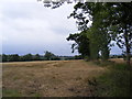 Footpath to Clopton Green