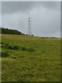 NN1881 : Pylon on rough grazing below Meall Dubh by Phillip Williams
