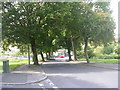 Poplar Road - viewed from Poplar Crescent