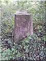 Triangulation pillar (trig point)