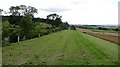 Embankment by Craigmill Quarry