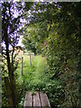 Footpath to the B1079 Grunsdisburgh Road