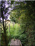TM2153 : Footpath to the B1079 Grunsdisburgh Road by Geographer