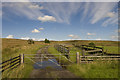 SD7246 : Animal pens and farm track opposite The Moorcock by Tom Richardson