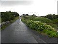 G9874 : Road at Laghy Barr by Kenneth  Allen