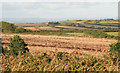 Rural East Cornwall from nr Penhale farm