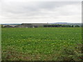 Farmland, Hunster Grange Farm